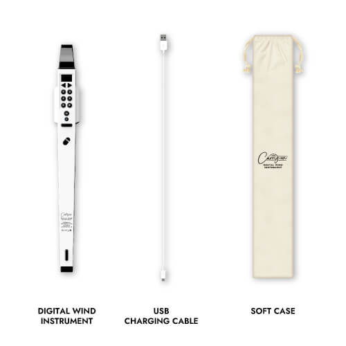 image of all items included with the Small Digital Wind Musical Instruments