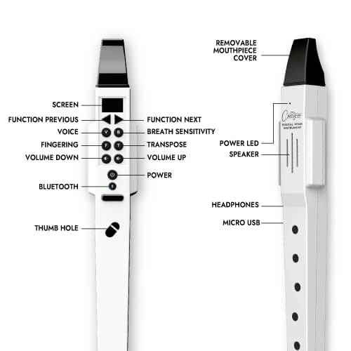 diagram showing how the controls work on the Small Digital Wind Musical Instruments